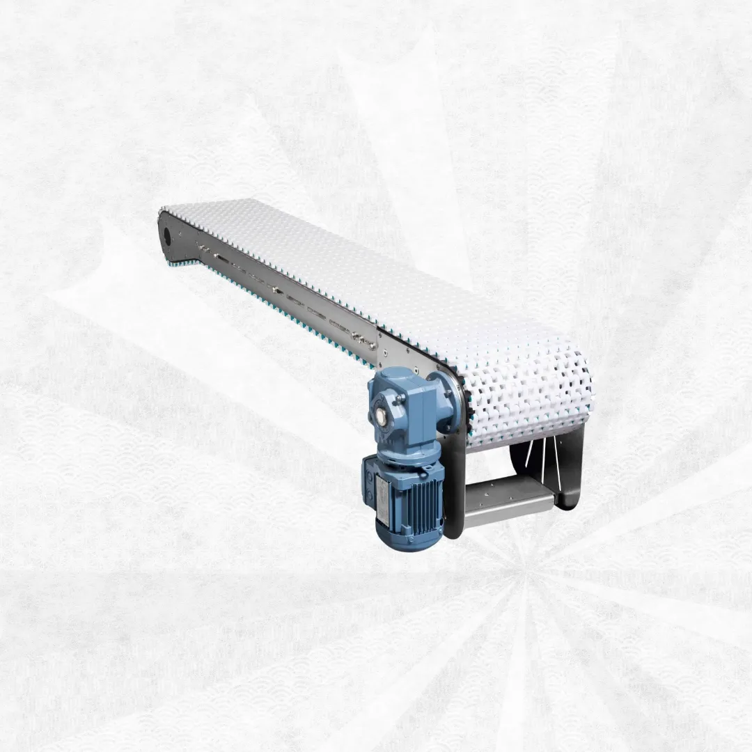 Chain Conveyor